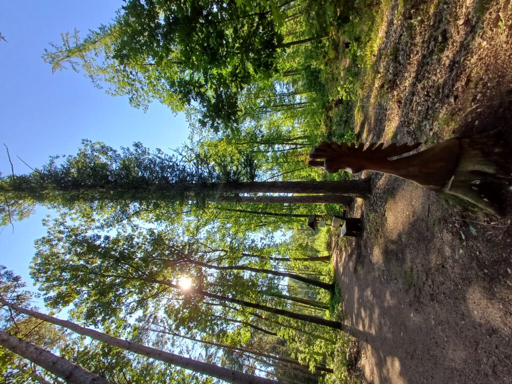 Lichtspiel der Sonne