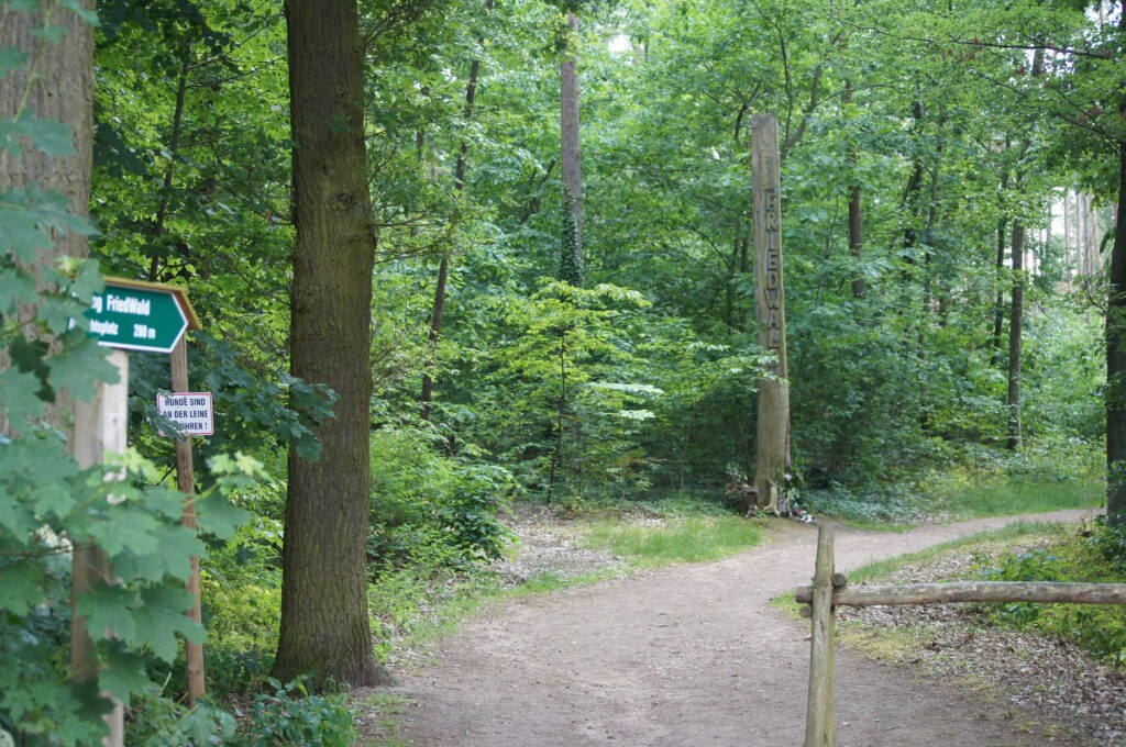 Der Eingang zum FriedWald.